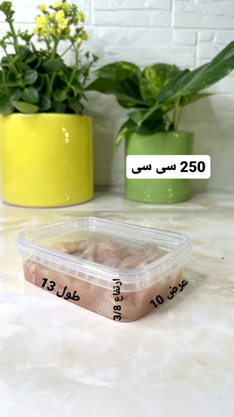 ظروف فریزری ۲۵۰ سی سی