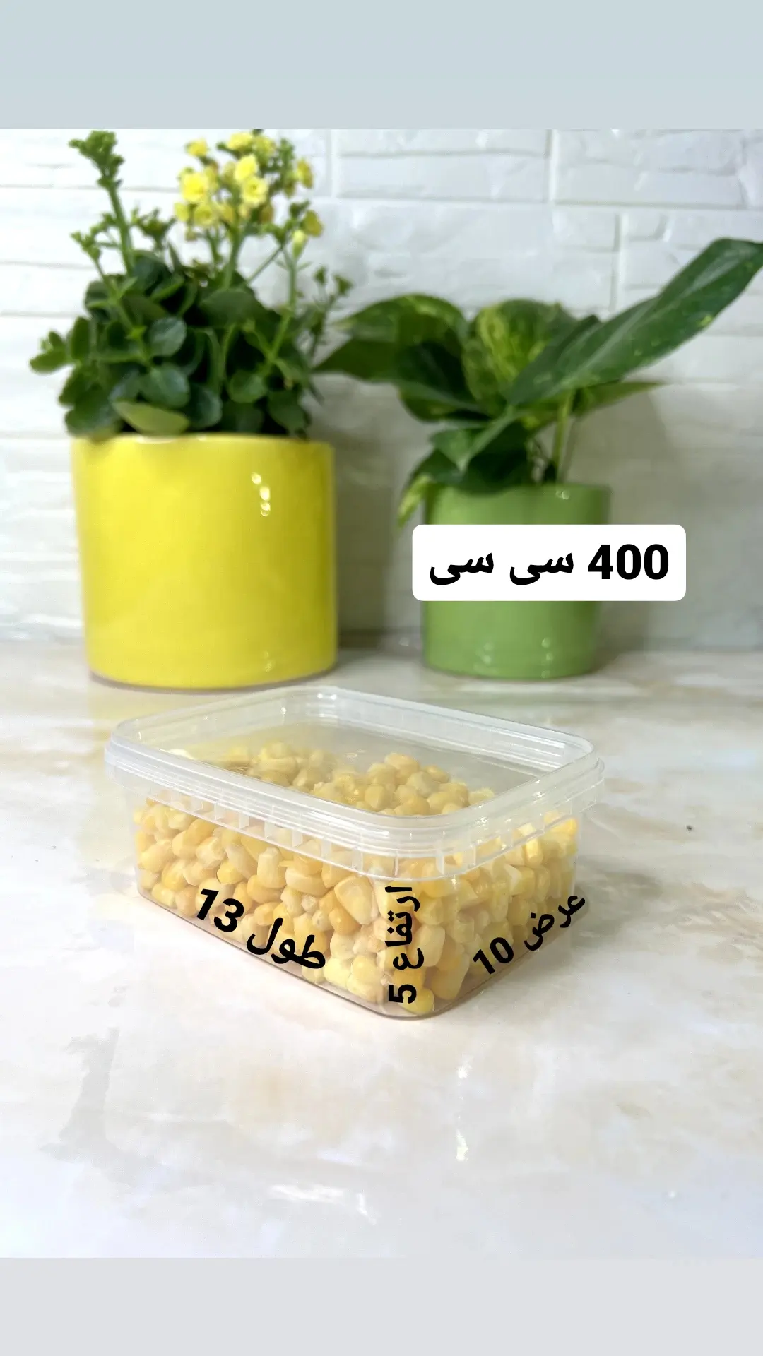 ظروف فریزری ۴۰۰ سی سی