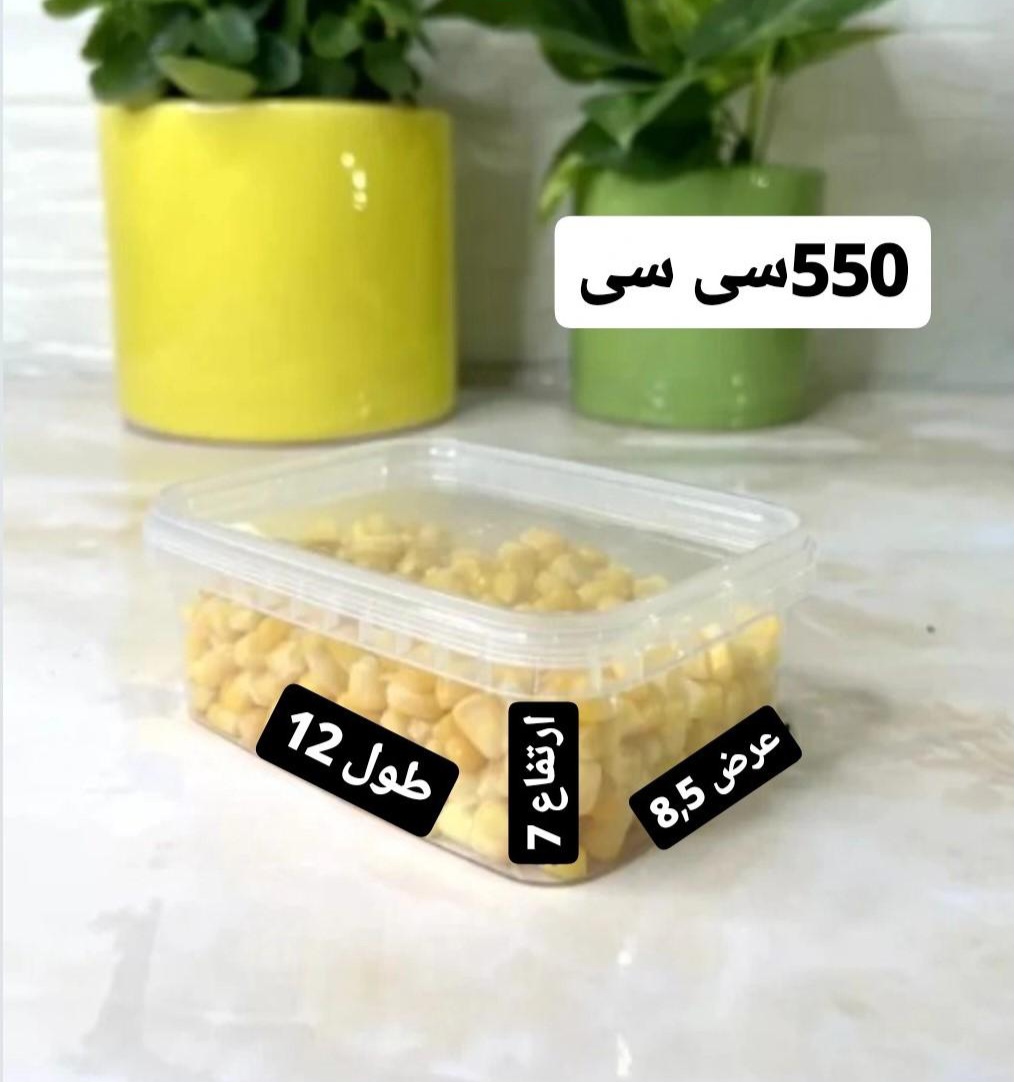 ظروف فریزری ۵۵۰ سی سی