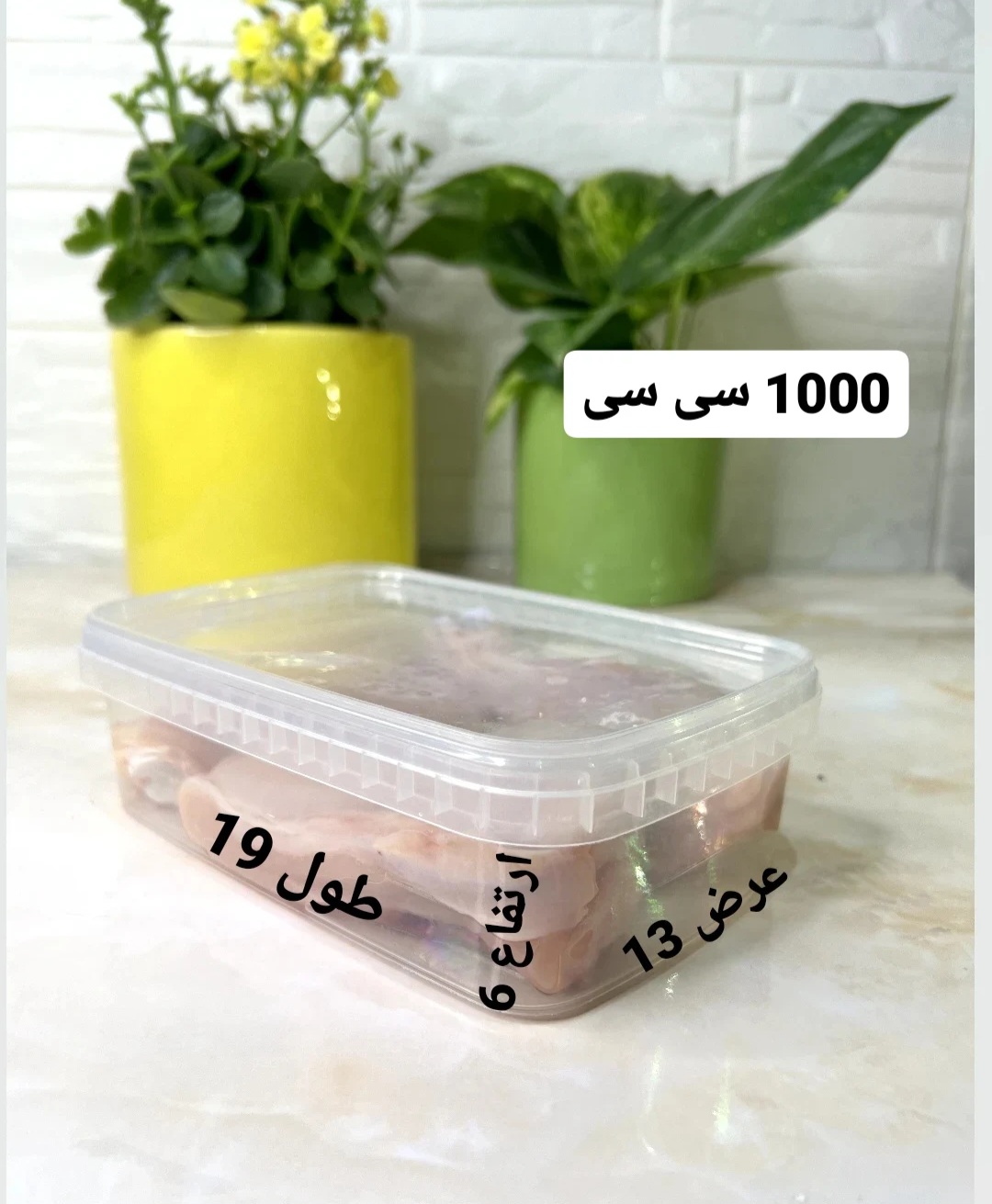 ظروف فریزری ۱۰۰۰ سی سی